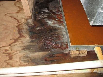 About ECOFrame Pros - water damage restoration experts in Lancaster
